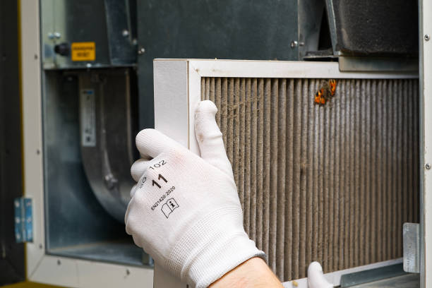 Best Home Air Vent Cleaning  in Godfrey, IL